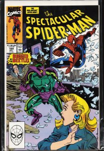 The Spectacular Spider-Man #164 (1990) Spider-Man