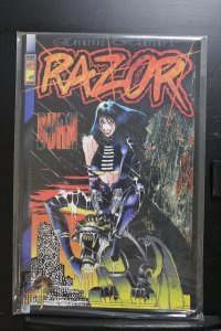 Razor: Burn #2 (1995)