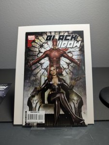 Black Widow: Deadly Origin #3 (2010) Black Widow