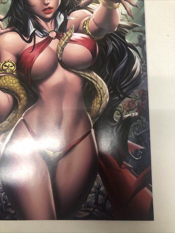 Vampirella (2021)#22 Variant (NM) Dynamite Entertainment • Christopher Priest