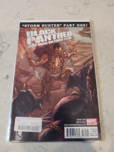 Black Panther: The Man Without Fear #519 (2011)