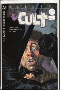 Batman: The Cult #3 (1988) Batman