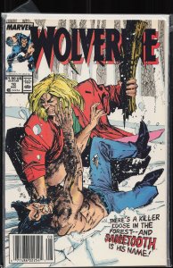 Wolverine #10 (1989) Wolverine
