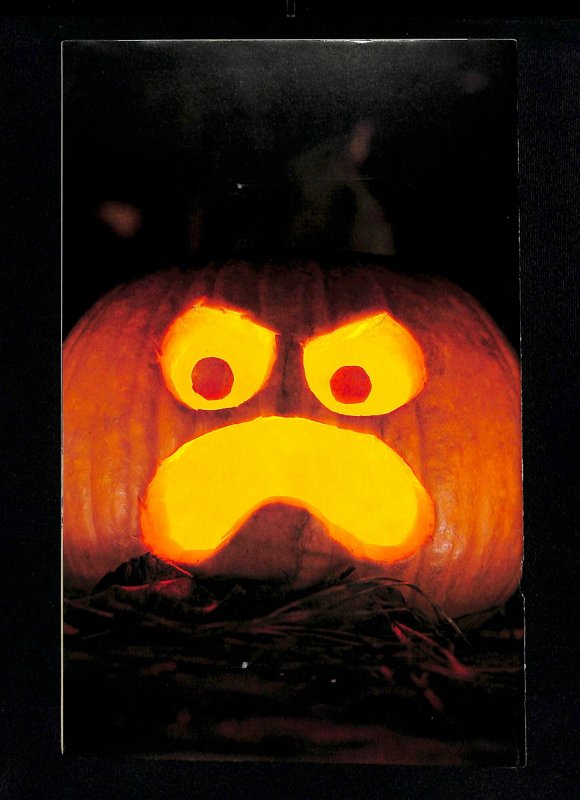 Happy Birthday Gnatrat #1