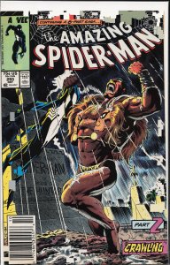 The Amazing Spider-Man #293 (1987) Spider-Man