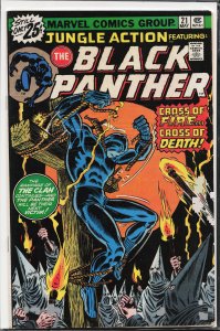 Jungle Action #21 (1976) Black Panther