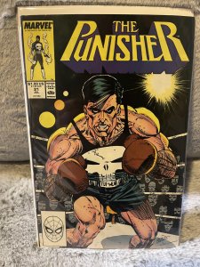 Punisher #21