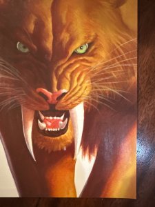 Black Cat #2 (Alex Ross) 2025