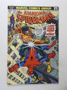 The Amazing Spider-Man #123 (1973) FN/VF Condition!