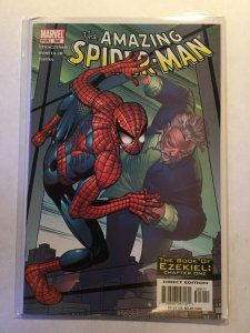 Amazing Spider-Man 506 Near Mint Nm Marvel