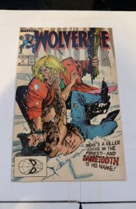 Wolverine #10 (1989) sabretooth is his name