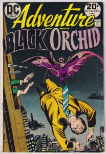 Adventure Comics #430 (1973) Black Orchid