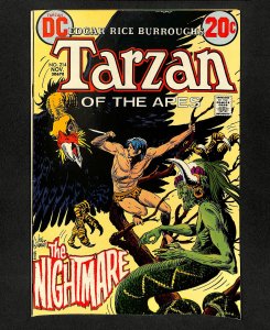 Tarzan #214