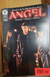 Angel #2 Variant Cover (1999)