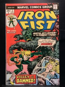 Iron Fist #2  (1975)