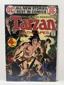 Tarzan #210 4th DC Issue