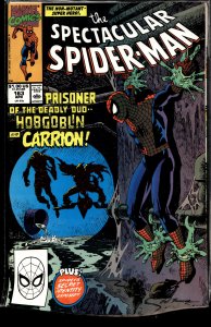 The Spectacular Spider-Man #163 (1990) Spider-Man