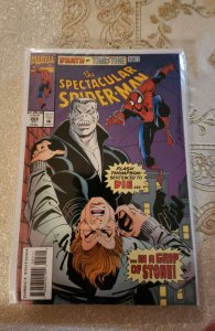 The Spectacular Spider-Man #205 (1993)