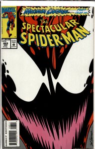 The Spectacular Spider-Man #203 (1993) Spider-Man