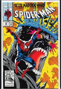 Spider-Man #30 (1993) Spider-Man