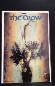 Crow #6 (1999)