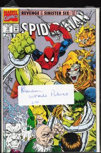 Spider-Man #19 (1992) Spider-Man