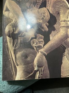 The sensuous, immortals, pal,1978,264p