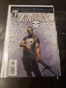 The Punisher #34 (2003)
