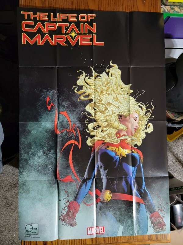 LARGE 36 x 24 The Life of Captain Marvel Promo Poster