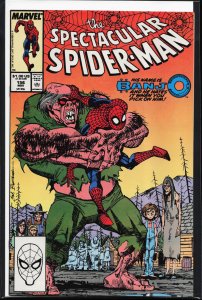 The Spectacular Spider-Man #156 (1989) Spider-Man