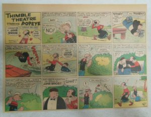 (14) Thimble Theatre (Popeye) by Bill Zaboley from 1943 Size: 11 x 15 inches