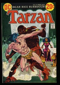 Tarzan of the Apes #217 VF 8.0