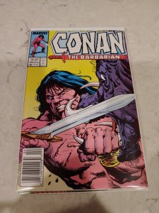 Conan the Barbarian #193 (1987)
