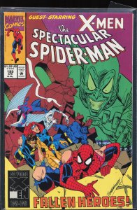 The Spectacular Spider-Man #199 (1993) Spider-Man