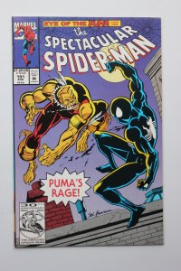 The Spectacular Spider-Man #191 (1992) Spider-Man NM