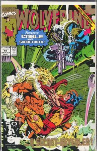 Wolverine #41 (1991) Wolverine