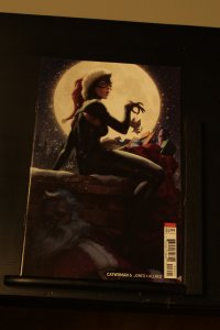 Catwoman #6 Variant Cover (2019) Catwoman