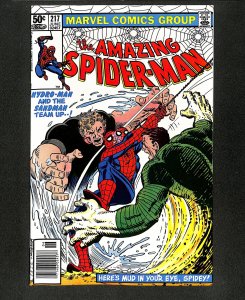 Amazing Spider-Man #217 Hydro-Man Sandman Team-Up!