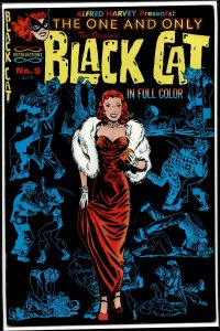 The Original Black Cat #9 (1992) Black Cat