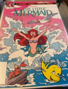 Disney's The Little Mermaid (1990) The Little Mermaid 