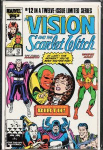 The Vision and the Scarlet Witch #12 (1986) The Vision [Key Issue]