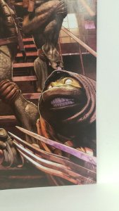 Teenage Mutant Ninja Turtles #119 1:10 Incentive Variant 2021 IDW Comics