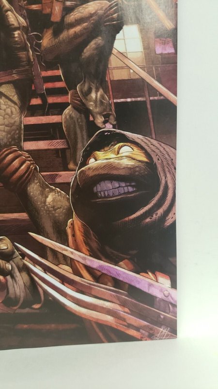 Teenage Mutant Ninja Turtles #119 1:10 Incentive Variant 2021 IDW Comics