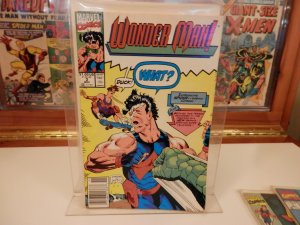 Wonder Man #1-3 (1991)