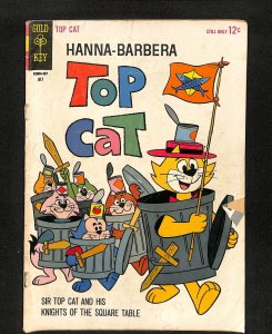 Top Cat #11
