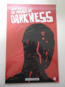 You Promised Me Darkness #3
