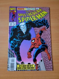 Spectacular Spider-Man #204 Direct Market Edition ~ NEAR MINT NM ~ 1993 Marvel