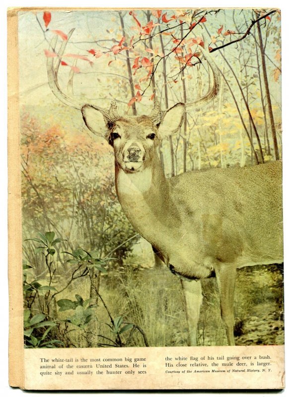 Cisco Kid #6 1951- Dell Golden Age Western VG-