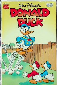Donald Duck #285 (Jul 1994, Gladstone) - Near Mint