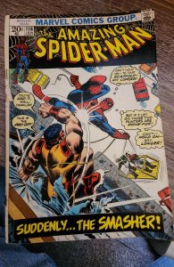 The Amazing Spider-Man #116 (1973) Spider-Man 